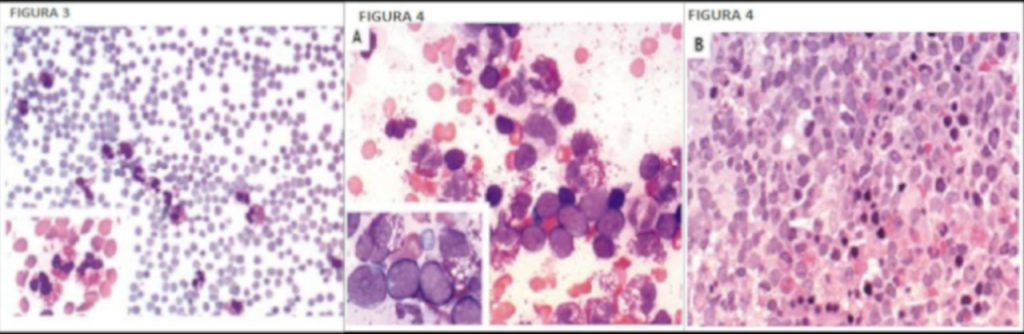 Dal caso clinico alla diagnosi