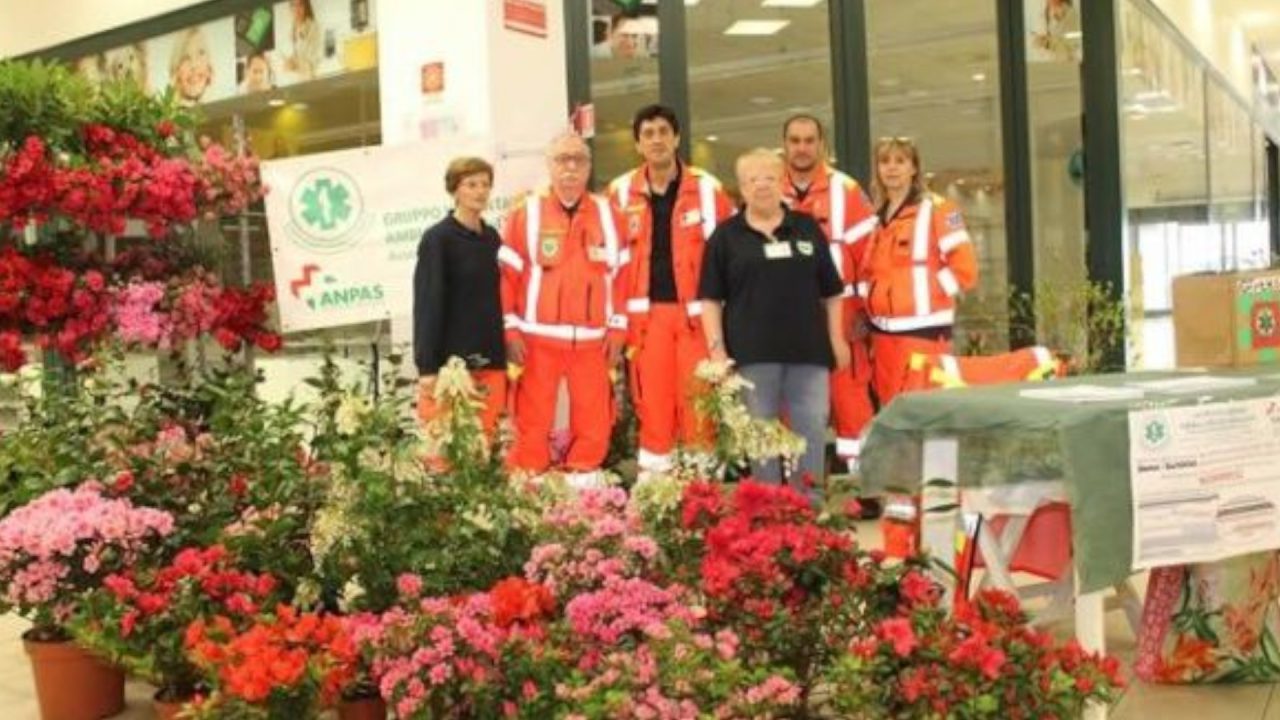 Un successo la raccolta fondi di Ambulanza e Floricoltori del Vergante