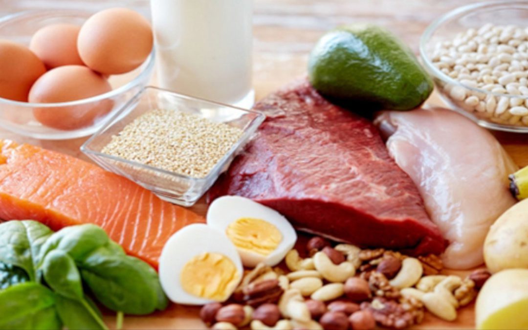 Proteine sfatato il mito della cena super proteica