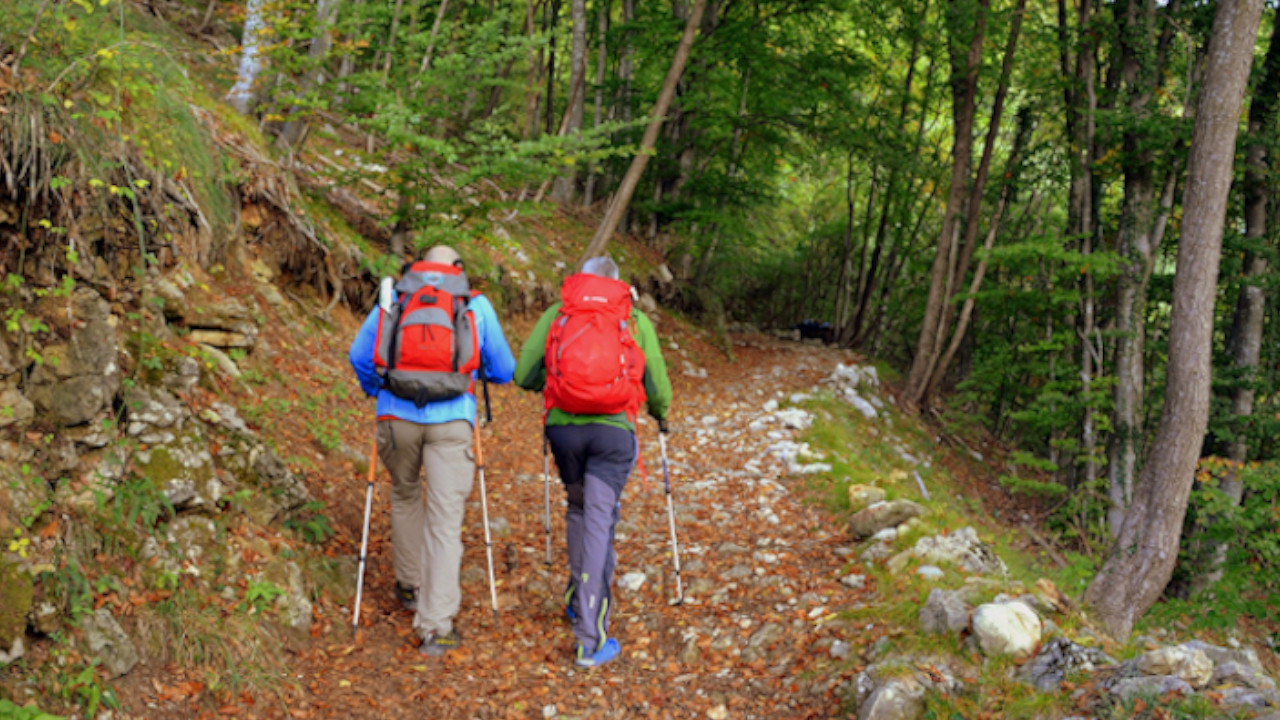 Camminare e pensare vanno di pari passo