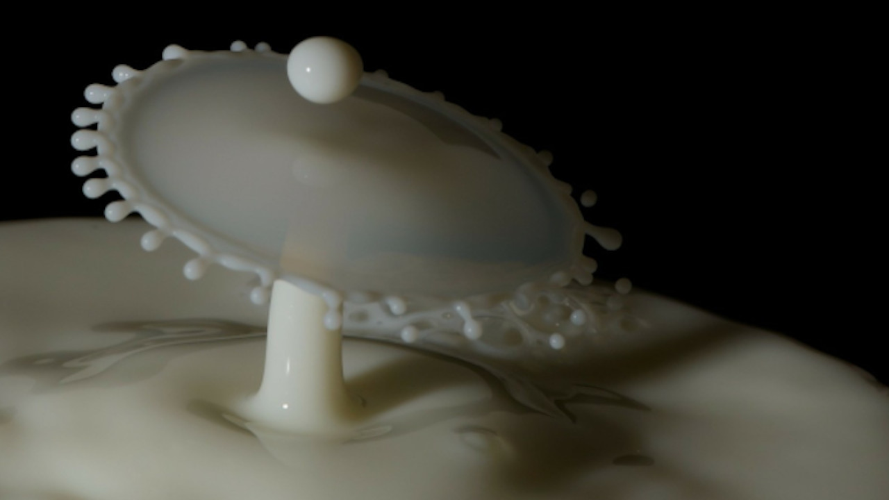 I fermenti lattici aiutano a dimagrire