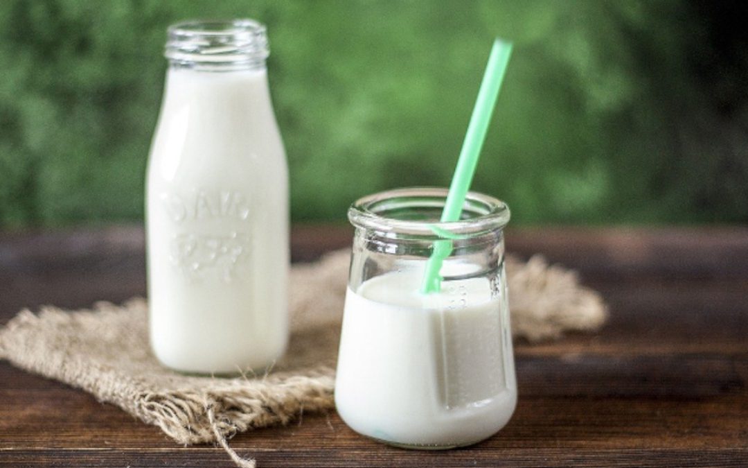 Latte e yogurt preziosi per la salute