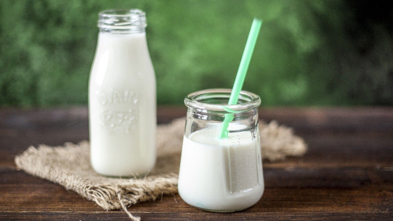 Latte e yogurt preziosi per la salute