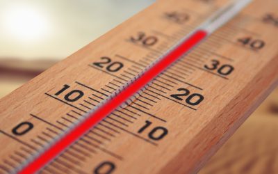 Nel 2022 il caldo in Italia ha causato 18 mila decessi prima in Europa